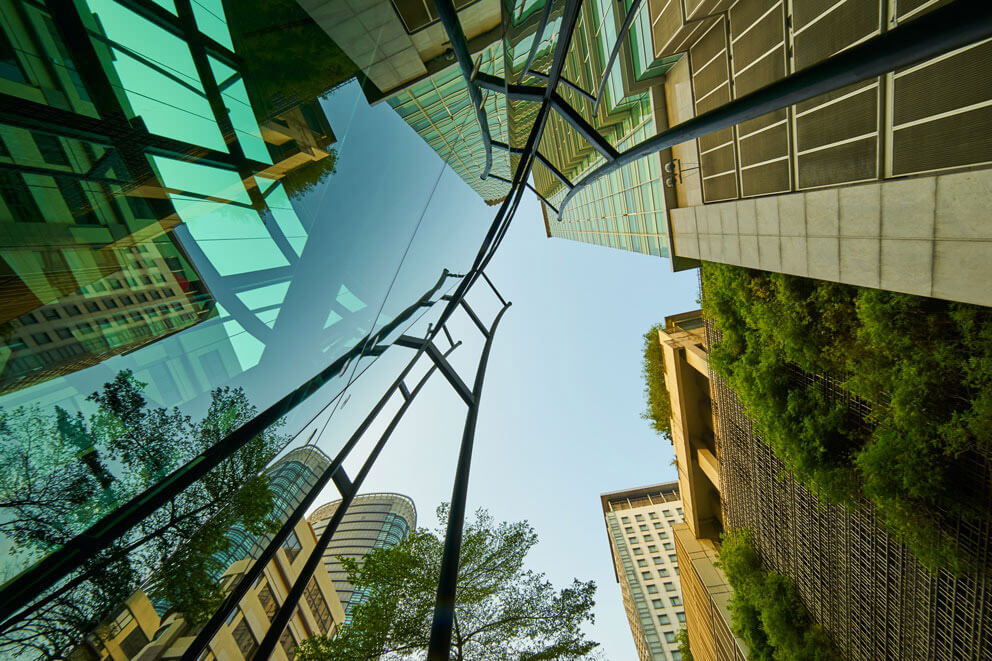 Skyscraper greenery
