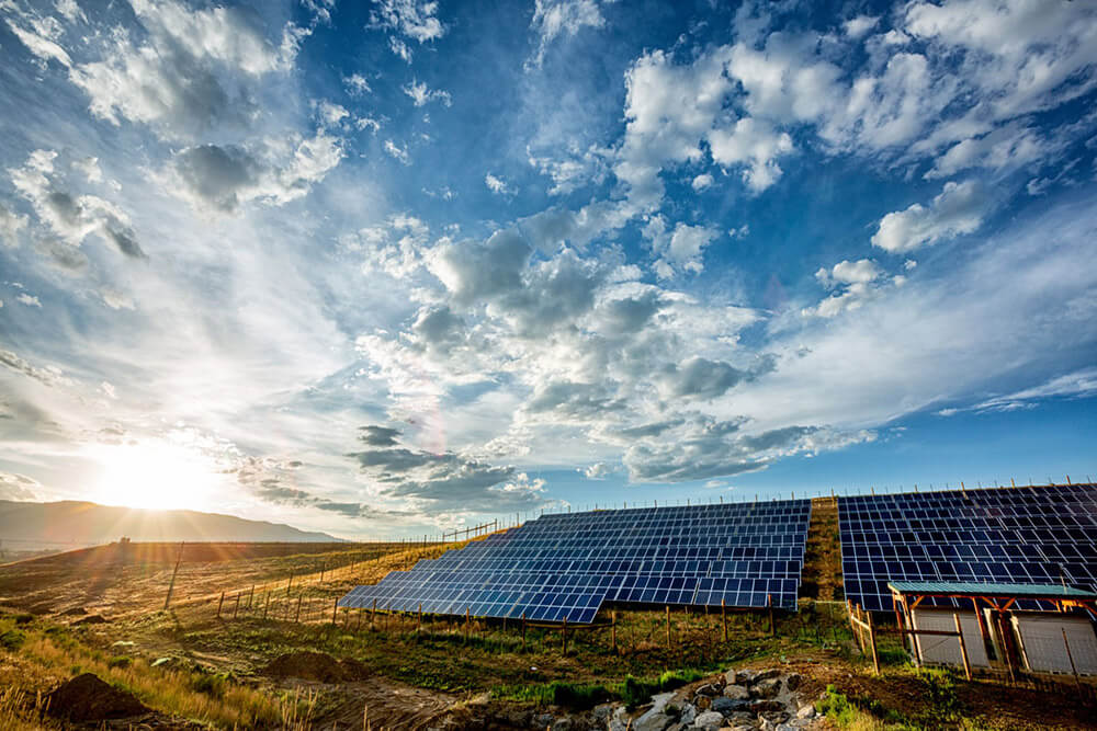 Solar Panel Park