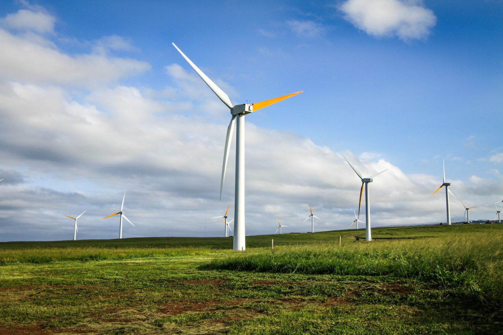 Environmentally,friendly,wind,turbines