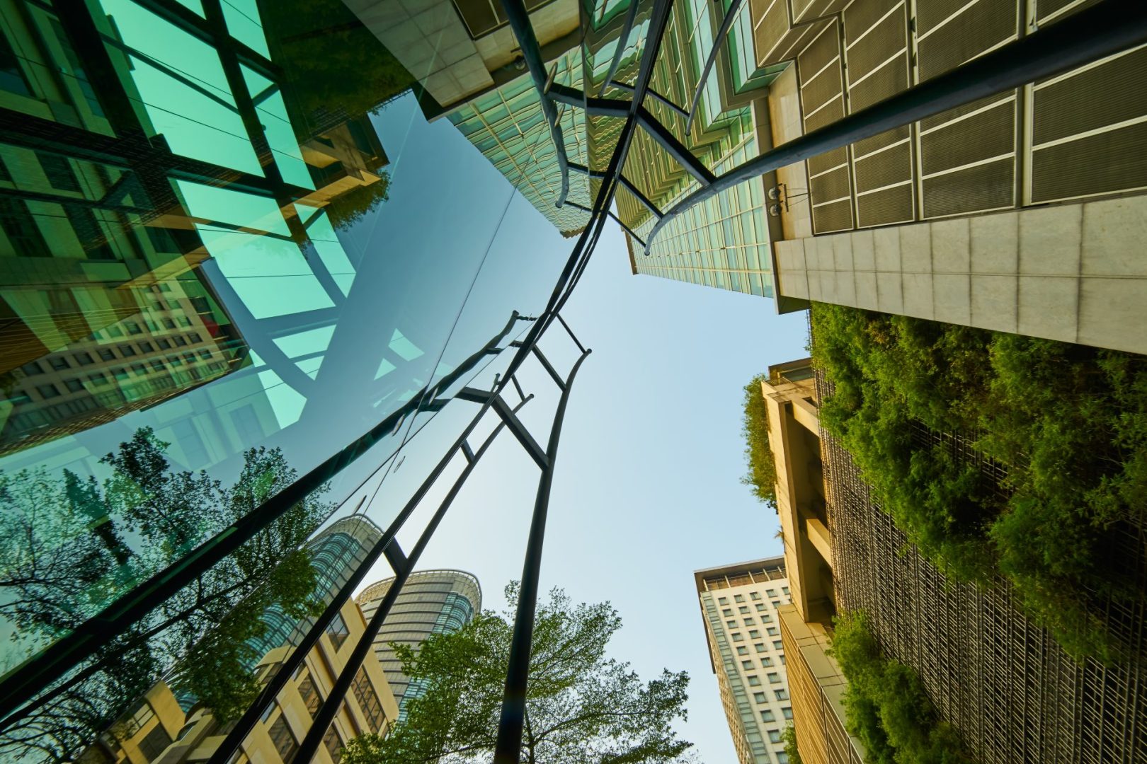 Low,angle,shot,of,modern,glass,buildings,and,green,with