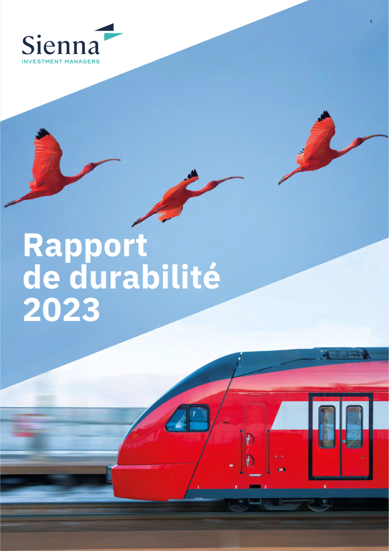 Rapport Esg Linkedin Carousel