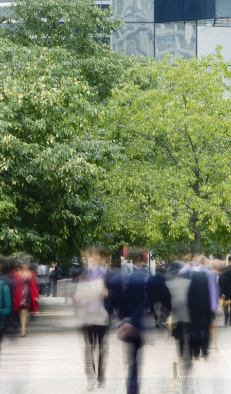 Capture D'écran 2025 11 12 110101