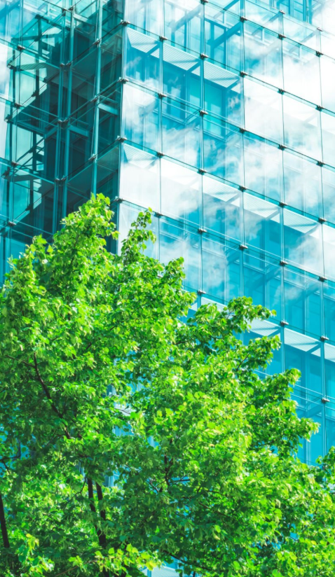 Capture D'écran 2025 11 12 120647