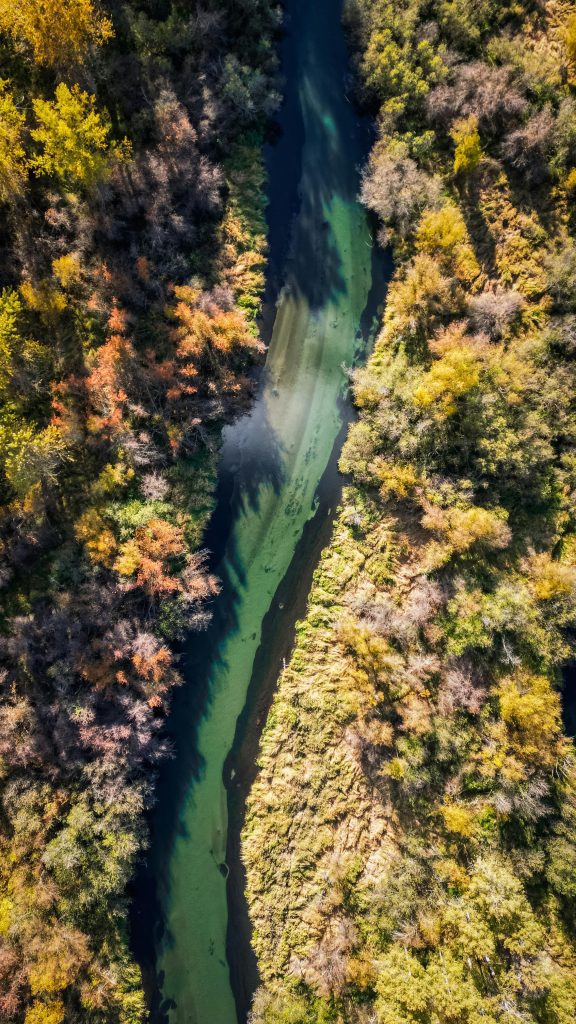 Biodiversité europe - dette privée