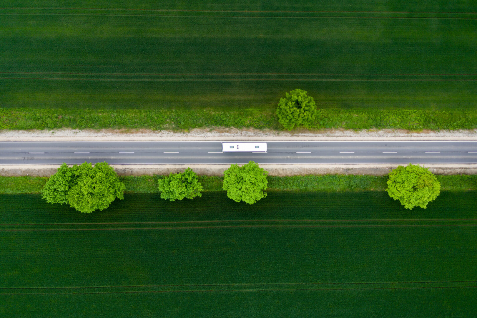Top View Straight Way In Summer