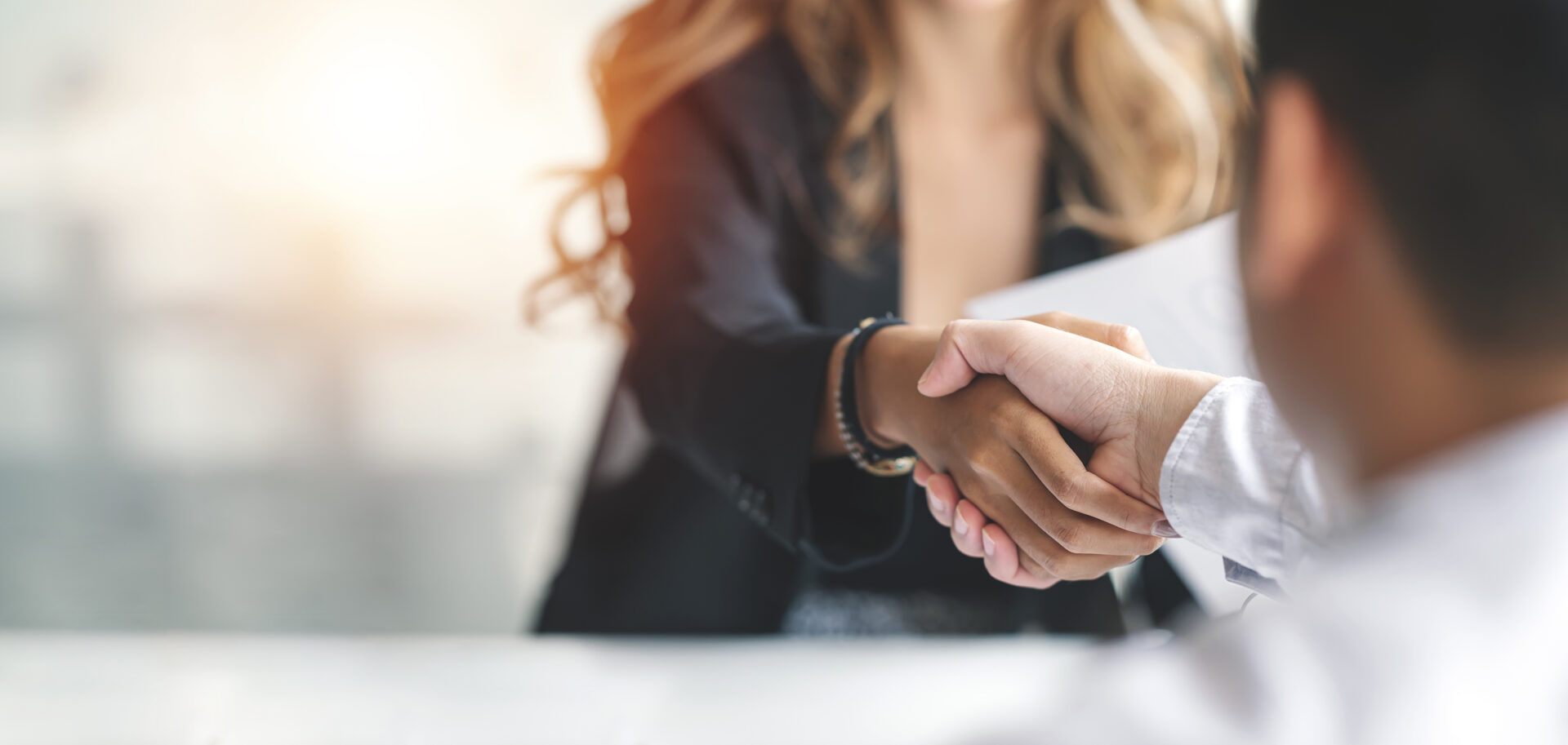 Businesswoman Handshake And Business People. Successful Business Concept.