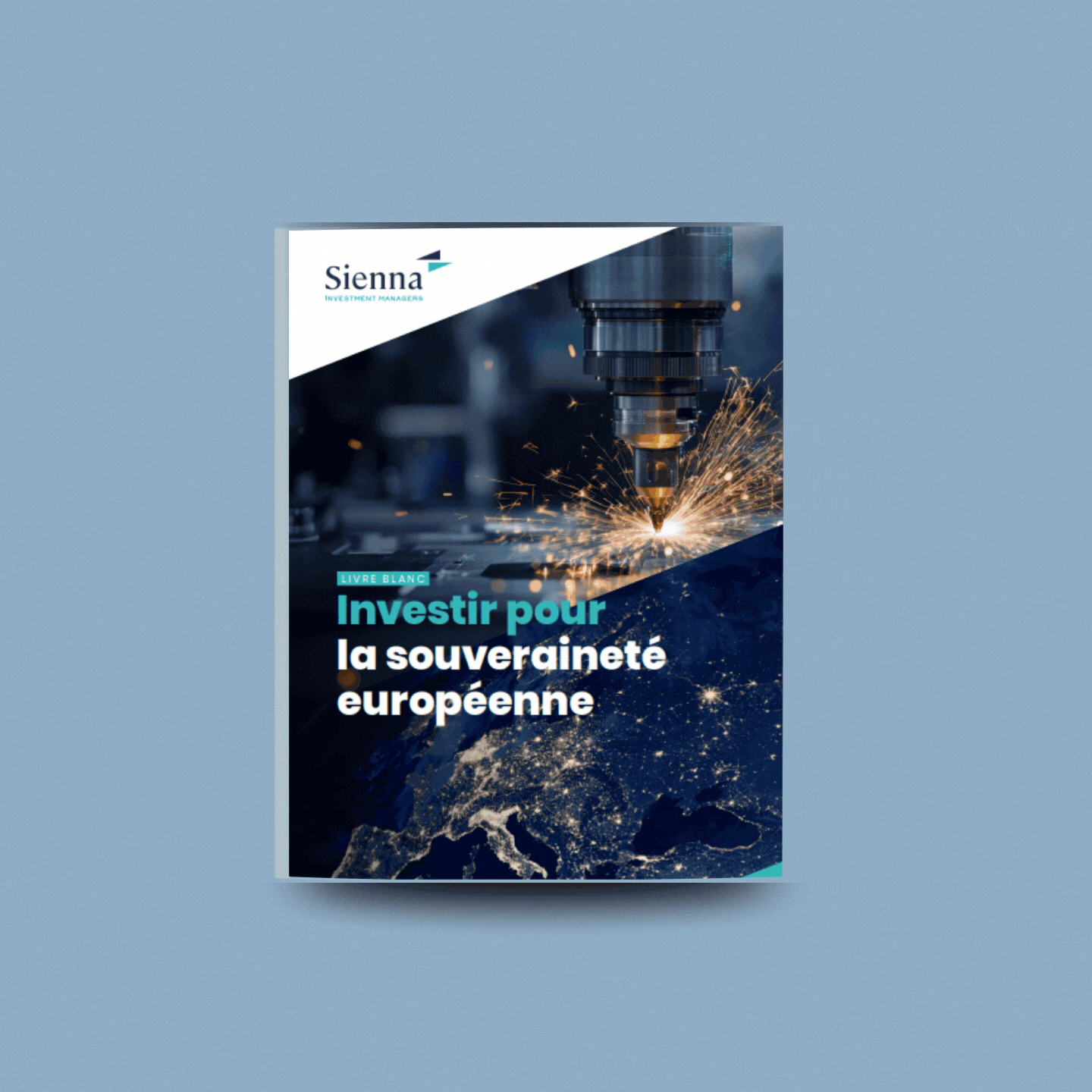 Linkedin Animation Lb Svrt French (1)