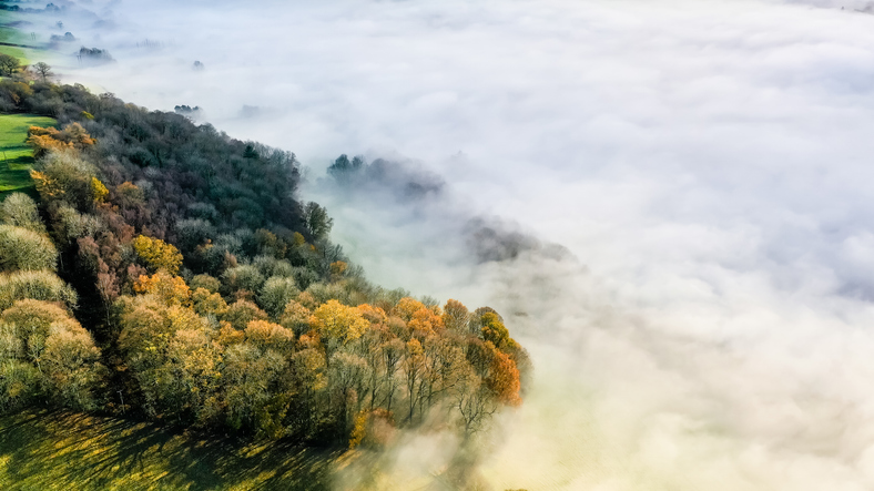 Aerial Drone View Of Autumn Trees Shrouded In Fog In A Rural Valley