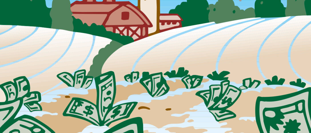 T9 Money Sprouting Illo 1088x467